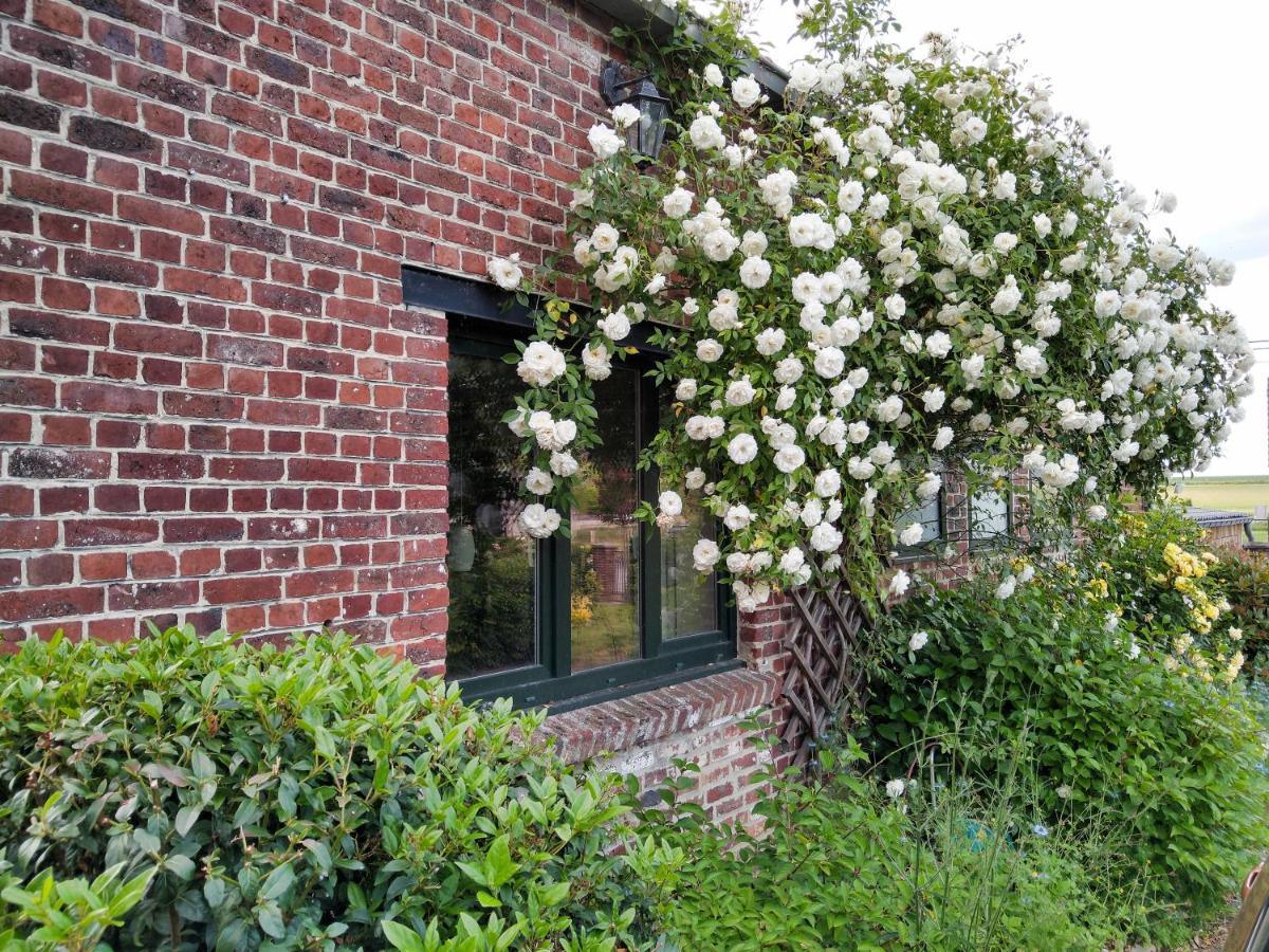 Gite Rural Les Petites Tetes Leuze-en-Hainaut ภายนอก รูปภาพ