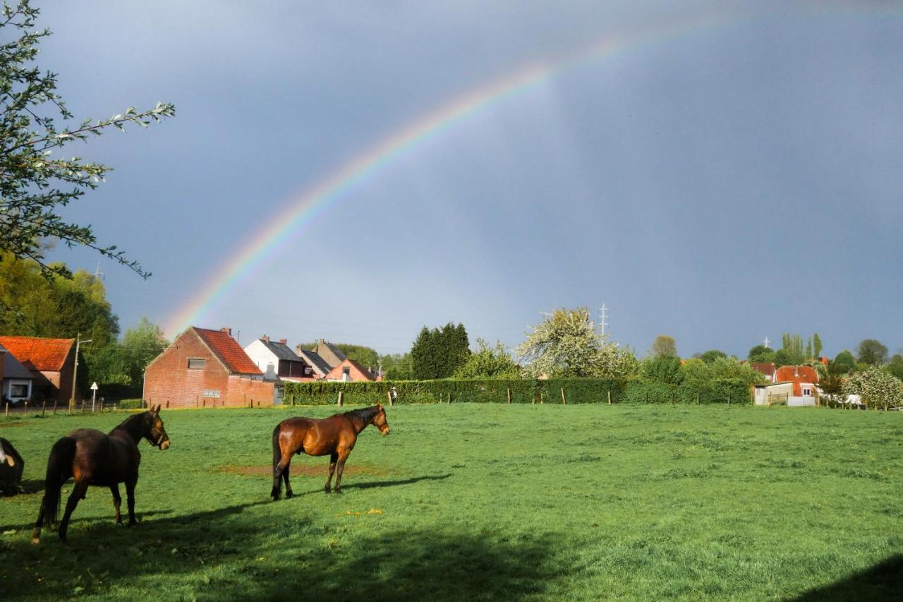 Gite Rural Les Petites Tetes Leuze-en-Hainaut ภายนอก รูปภาพ