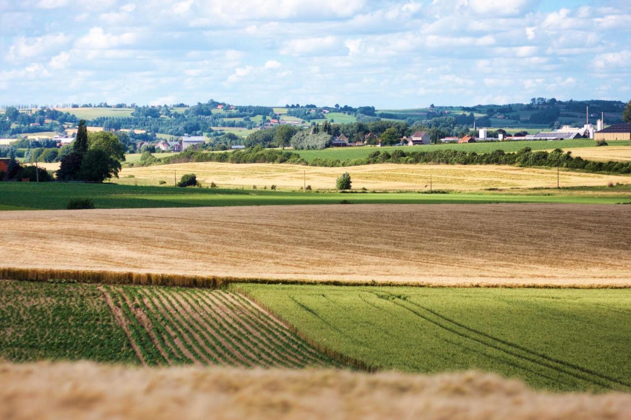 Gite Rural Les Petites Tetes Leuze-en-Hainaut ภายนอก รูปภาพ